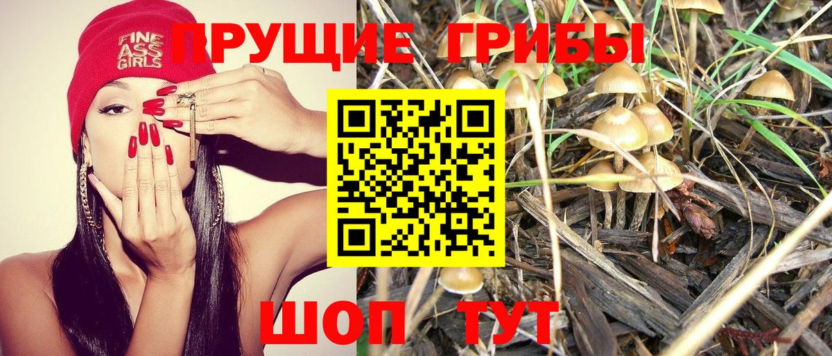Псилоцибиновые грибы MAGIC MUSHROOMS Новотроицк