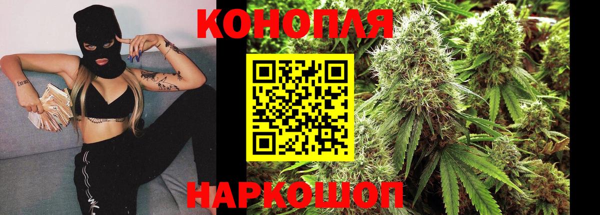 Шишки марихуана семена Новотроицк